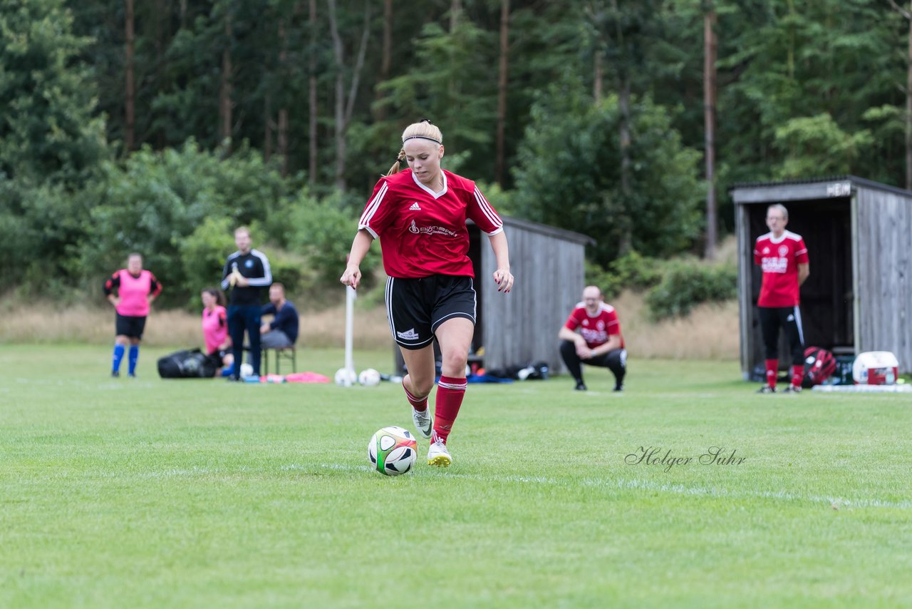 Bild 222 - Frauen SG NieBar - HSV 2 : Ergebnis: 4:3